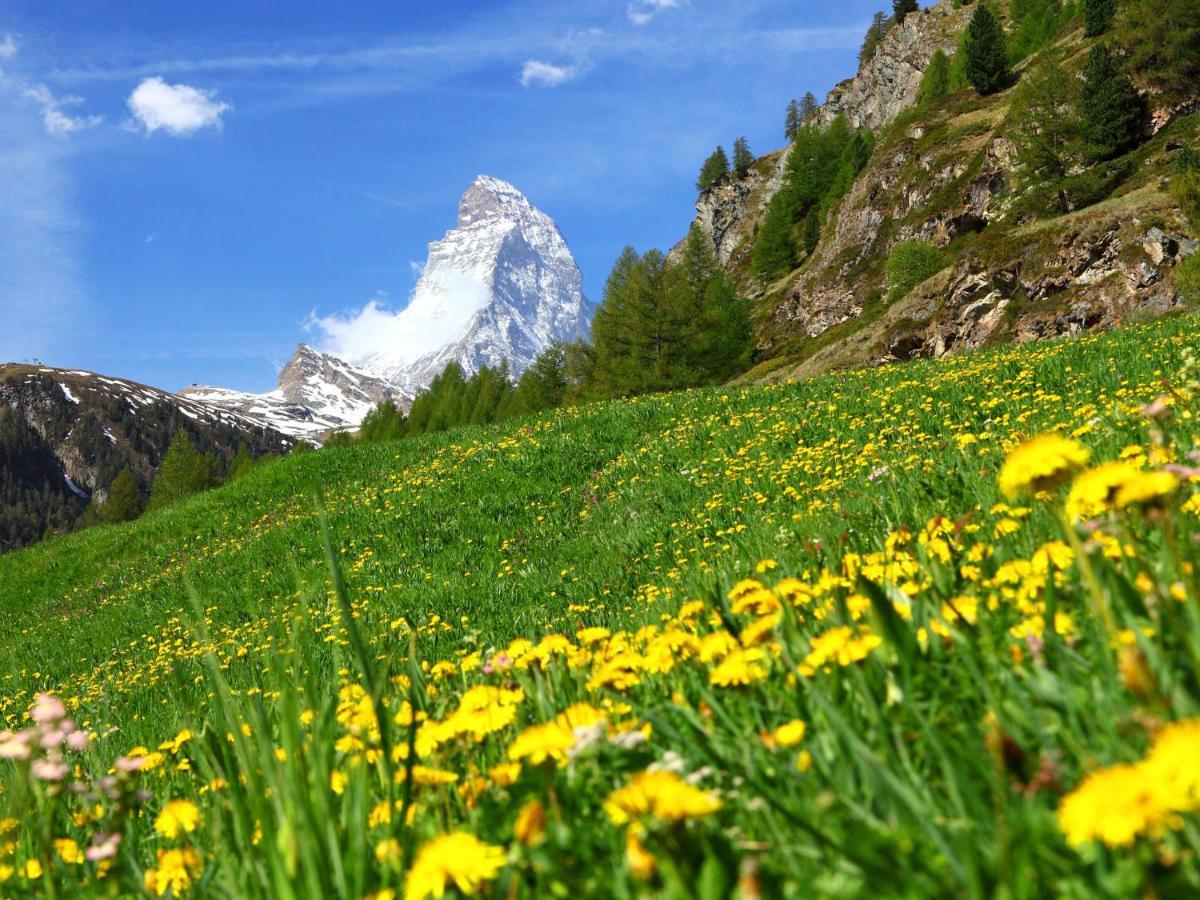 Apartment Chalet Dossen Zermatt Bagian luar foto